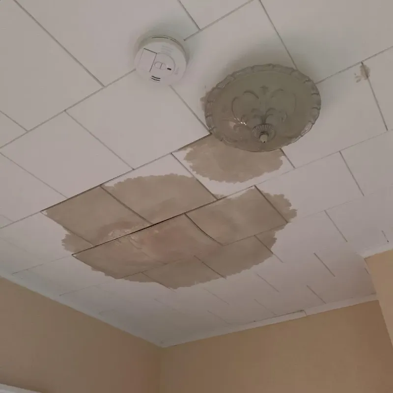 Ceiling Water Damage Repair in Wakefield, MI